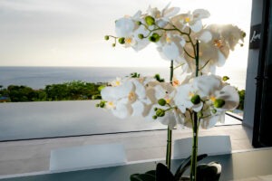 exterieur-villa-giri-guadeloupe-4